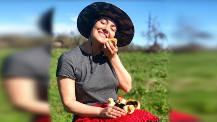 maka-zabaxidze-exnews