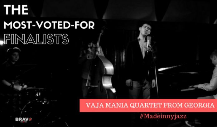 vaja-mania
